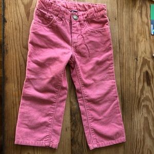 Baby Gap 1969 pink corduroy pants